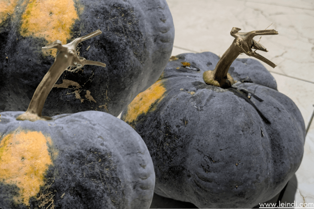 pumpkin