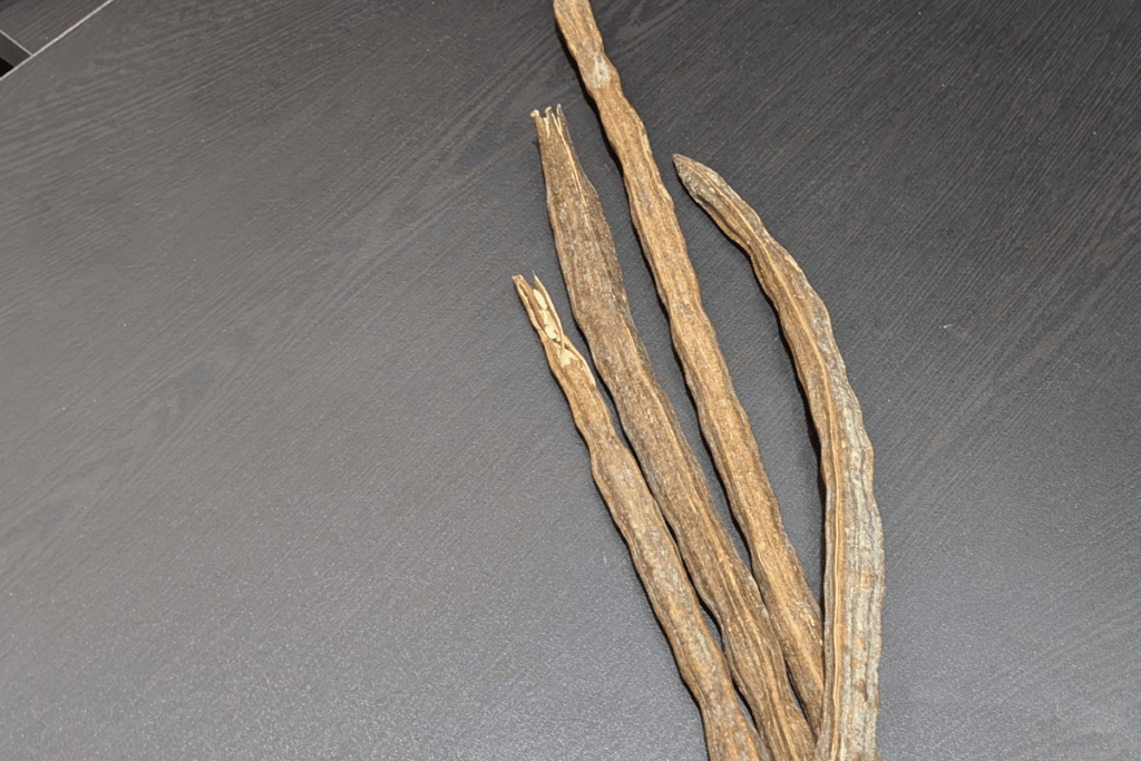Drumstick for Sexual Stamina