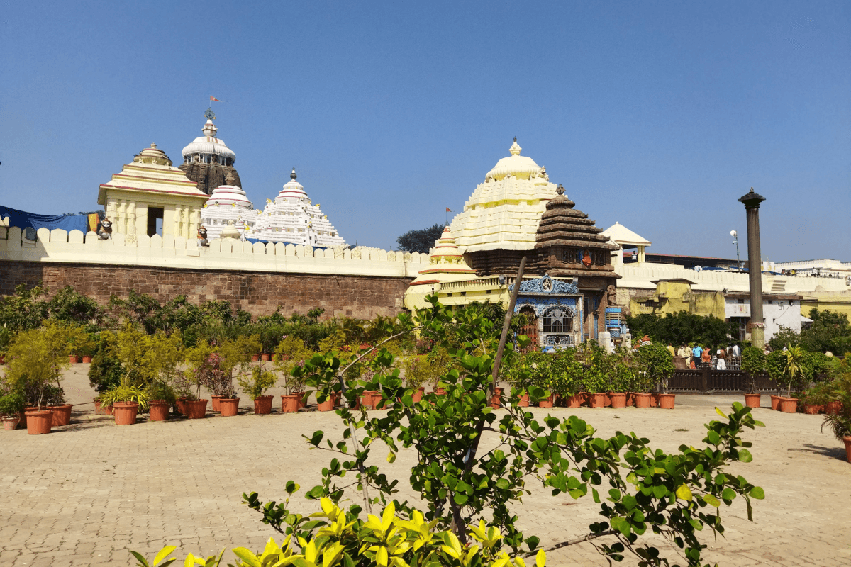 2 Sacred Herbs Used in Puri Jagannath Temple